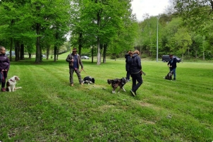 Groupe de personnes réalisant un exercice à un cours collectif