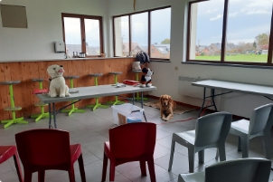 Salle de classe pour un cours de prévention en morsures