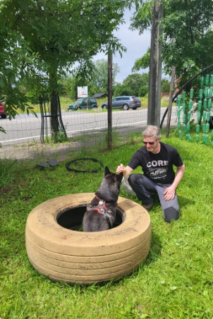 Chien dans un pneu pour un exercice lors d'un cours collectif